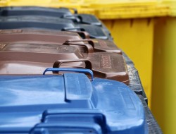 Ilustrační obrázek